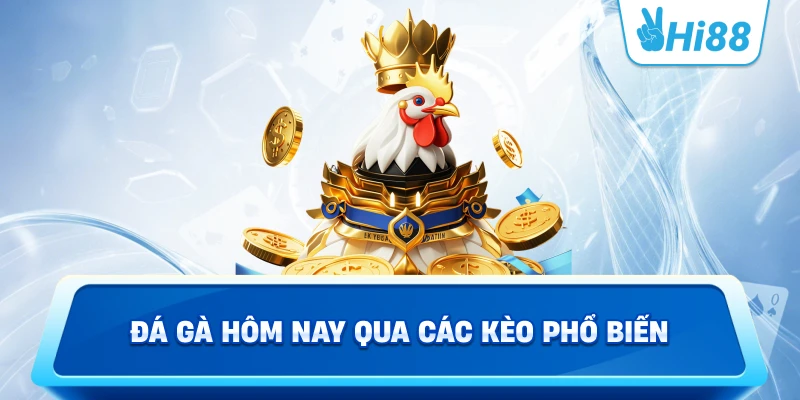 Đá Gà Hôm Nay Qua Các Kèo Phổ Biến