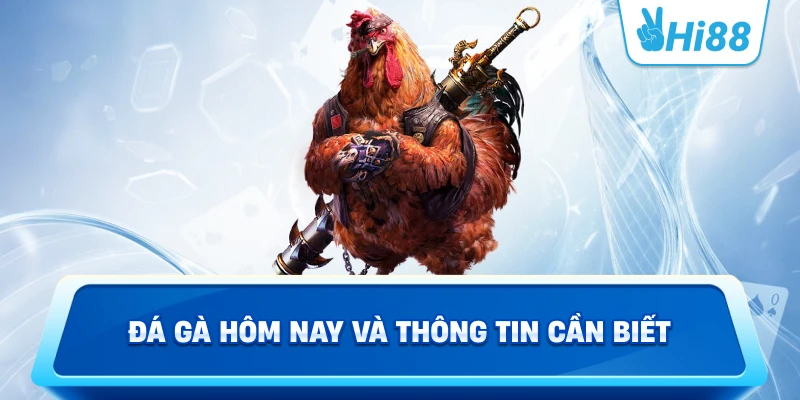 Đá Gà Hôm Nay Và Thông Tin Cần Biết