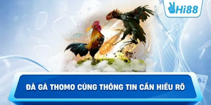 Đá Gà Thomo Cùng Thông Tin Cần Hiểu Rõ
