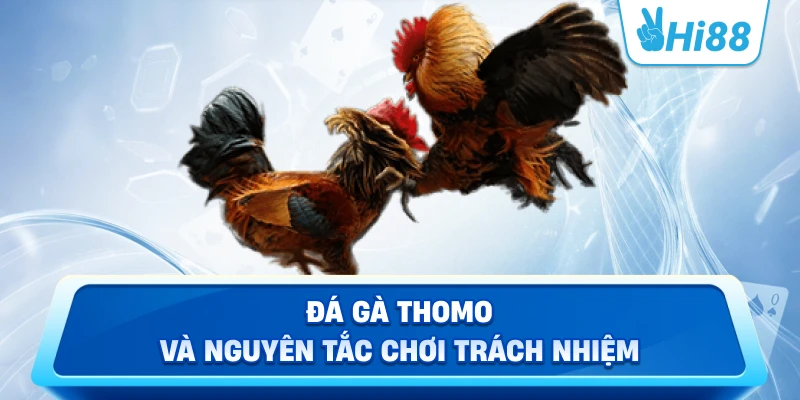 Đá Gà Thomo Và Nguyên Tắc Chơi Trách Nhiệm