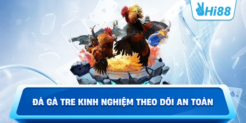 Đá Gà Tre Kinh Nghiệm Theo Dõi An Toàn
