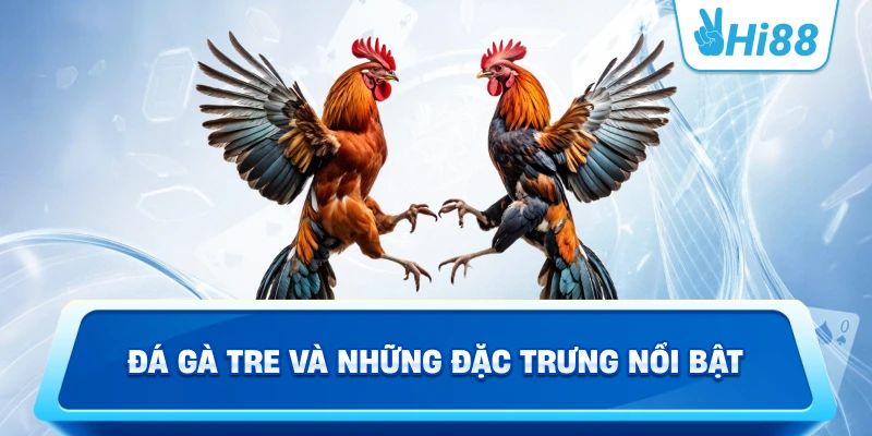Đá Gà Tre Và Những Đặc Trưng Nổi Bật
