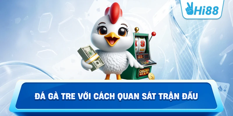 Đá Gà Tre Với Cách Quan Sát Trận Đấu
