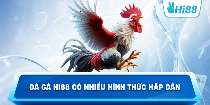 Đá gà Hi88 có nhiều hình thức hấp dẫn