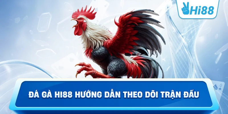 Đá gà Hi88 hướng dẫn theo dõi trận đấu
